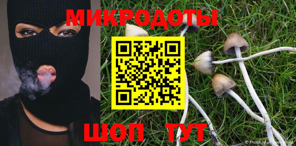 Галлюциногенные грибы Psilocybine cubensis Грозный