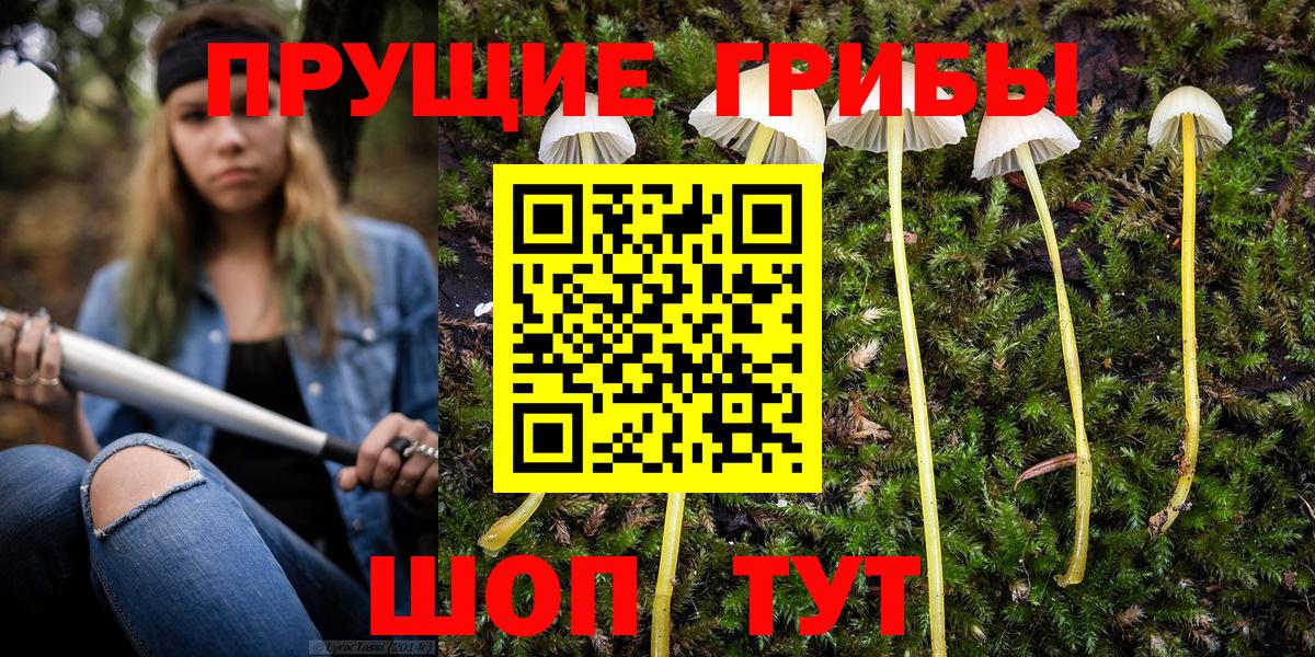 Псилоцибиновые грибы прущие грибы  наркошоп  Грозный 