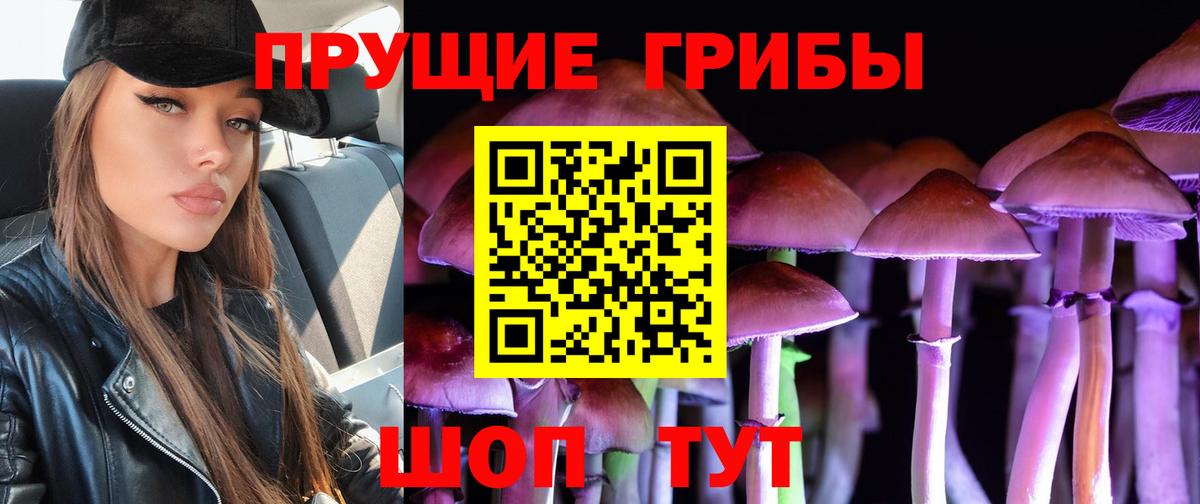 купить наркотик  Вход с VPN  Галлюциногенные грибы Psilocybine cubensis  Грозный  Псилоцибиновые грибы мицелий 