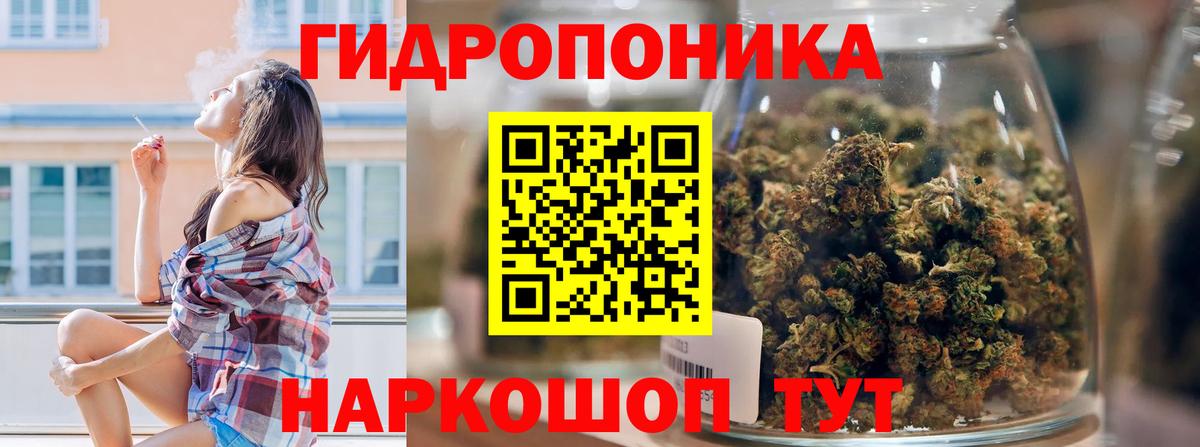 Конопля сатива  Шишки марихуана индика  Вход с VPN  Бошки марихуана марихуана  Грозный 